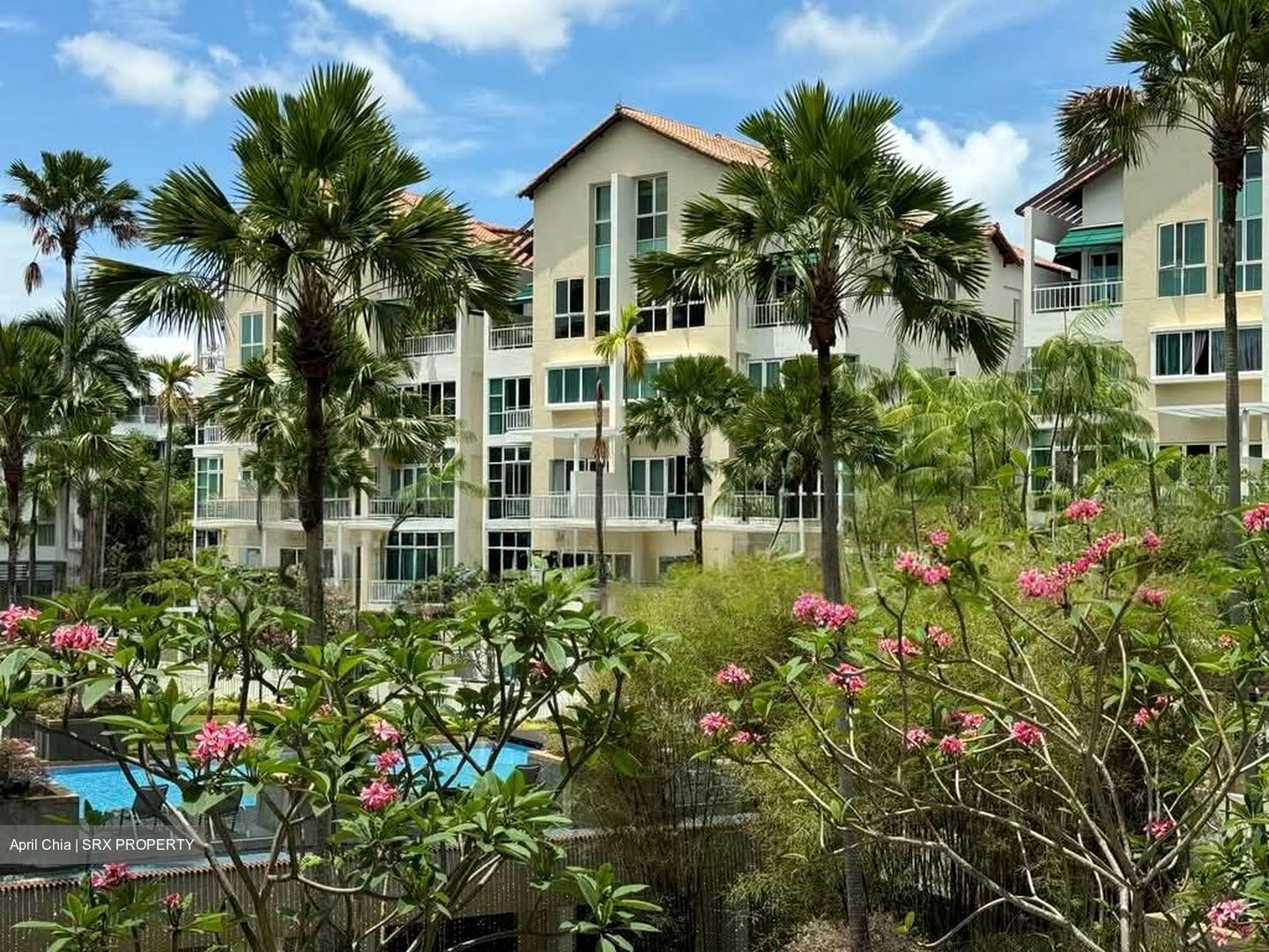 Country Park Condominium (D16), Condominium #561733321